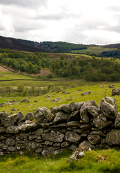 Stone Fence - Scotland Fence photo