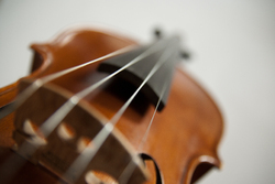 Violin -  Fiddle photo