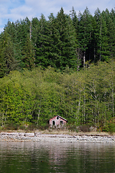 Derelict - Port Neville  photo