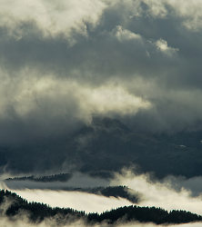 Vaporous Wilderness Landscape - Vancouver Island  photo