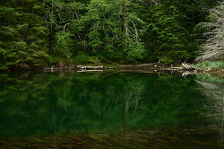 Still Water in Carrington Lagoon - Cortes Island  photo