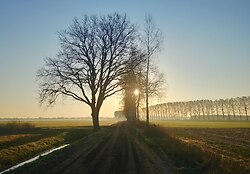 Morning in the dutch countryside - Den Ham  photo