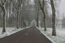 On the way to the farm - Esboz  photo