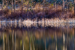 Waters Edge  II - Cortes Island  photo