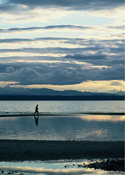 A Walk on the Tide Flats - Cortes Island  photo