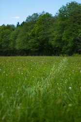 Was Here - Cortes Island  photo