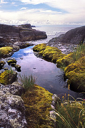 Freshwater Pool on the Kitten Islets - Cortes Island  photo