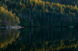 Port Neville Campsite - Port Neville  photo