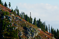 Mount Washington Slope - Mount Washington Mountain photo