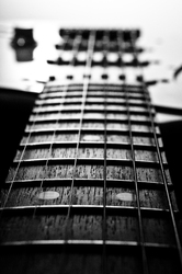 17th Fret -  Musical Instrument photo