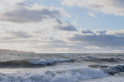 A Bright January Morning On Cortes Island - Cortes Island Ocean photo