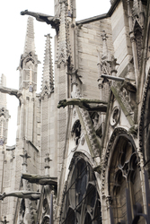 Gargoyles at Notre dame - Church photo from  Paris France