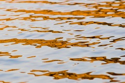  Cortes Island  photo