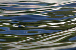  Cortes Island  photo