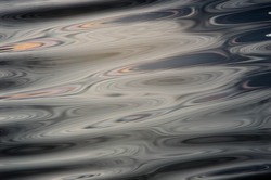  Cortes Island  photo