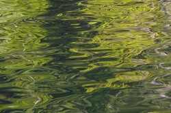  Cortes Island  photo