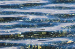  Cortes Island  photo