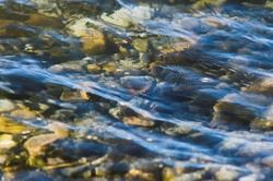  Cortes Island  photo