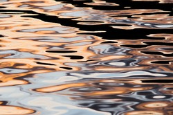  Cortes Island  photo