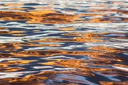  Cortes Island  photo