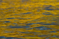  Cortes Island  photo