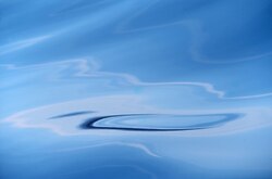  Salish Sea Reflection photo