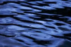  Cortes Island Reflection photo