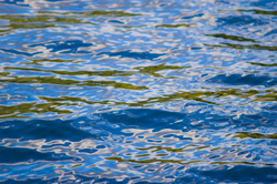  Salish Sea Reflection photo