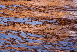 Reflection #7 - Salish Sea  photo