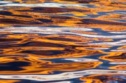 Reflection #8 - Salish Sea  photo