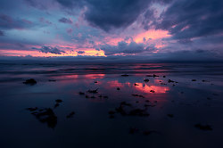 Landscape of Washed-up Seaweed - Cortes Island  photo