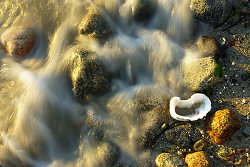  Cortes Island  photo