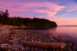 Pink and Purple - Cortes Island  photo