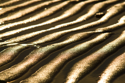  Cortes Island Seashore photo