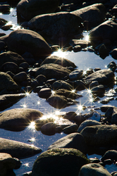  Cortes Island Seashore photo