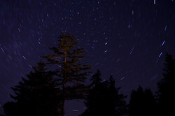Polaris - Cortes Island Star photo