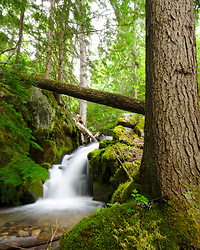 Climax Creek Waterfall - Slocan Valley Waterfall photo