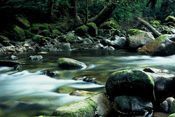 Ahta River - Bond Sound Wilderness photo