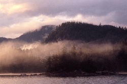Morning Mist - Broughton Archipelago Wilderness photo