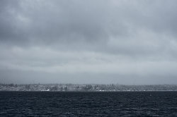 Marina Island In Winter - Marina Winter photo