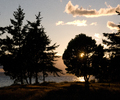 Sun Shines Through Tree - Landscape  photo from Smelt Bay Cortes Island BC, Canada