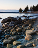 Cortes Island Seashore photo