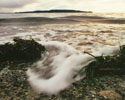 Cortes Island Wave photo