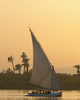 Luxor Sailing photo