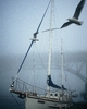 Vancouver Sailboat photo